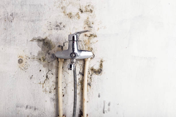 Best Water Damage Restoration  in Fannett, TX