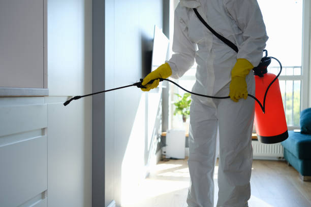 Best Certified Mold Removal  in Fannett, TX